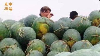 吃瓜现场第一位网红是谁,揭秘第一位网红的诞生之谜